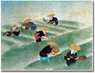 本畑への移植