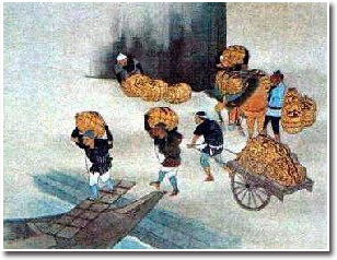 藍玉の出荷