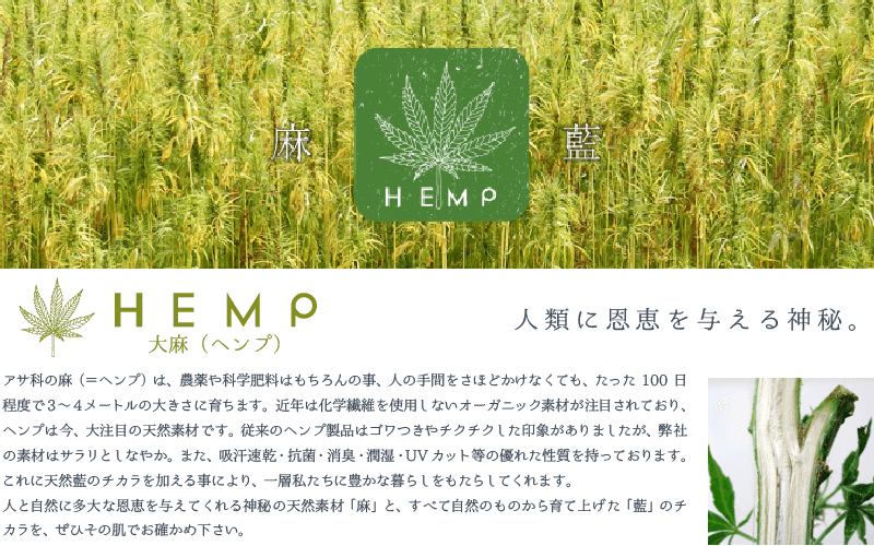 HEMP