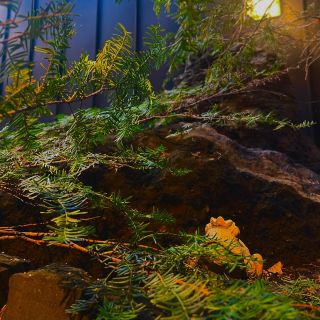 藍染坐忘 AIZOMEZABO - 北海道最高品位の純天然地下水、国内最高峰の